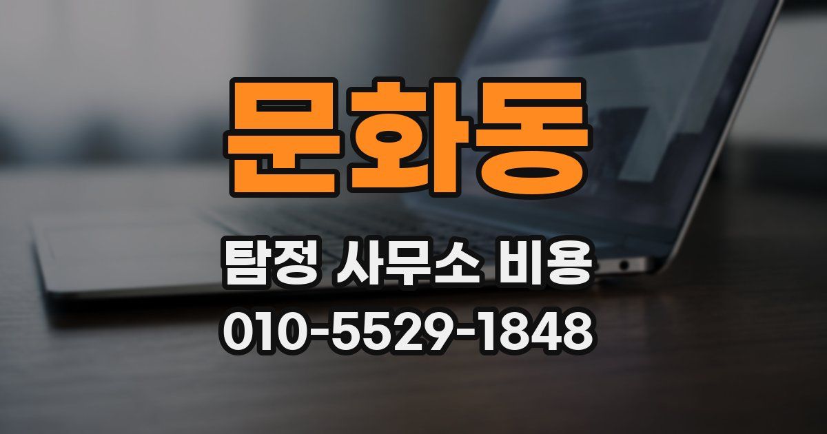 문화동 탐정 사무소 비용