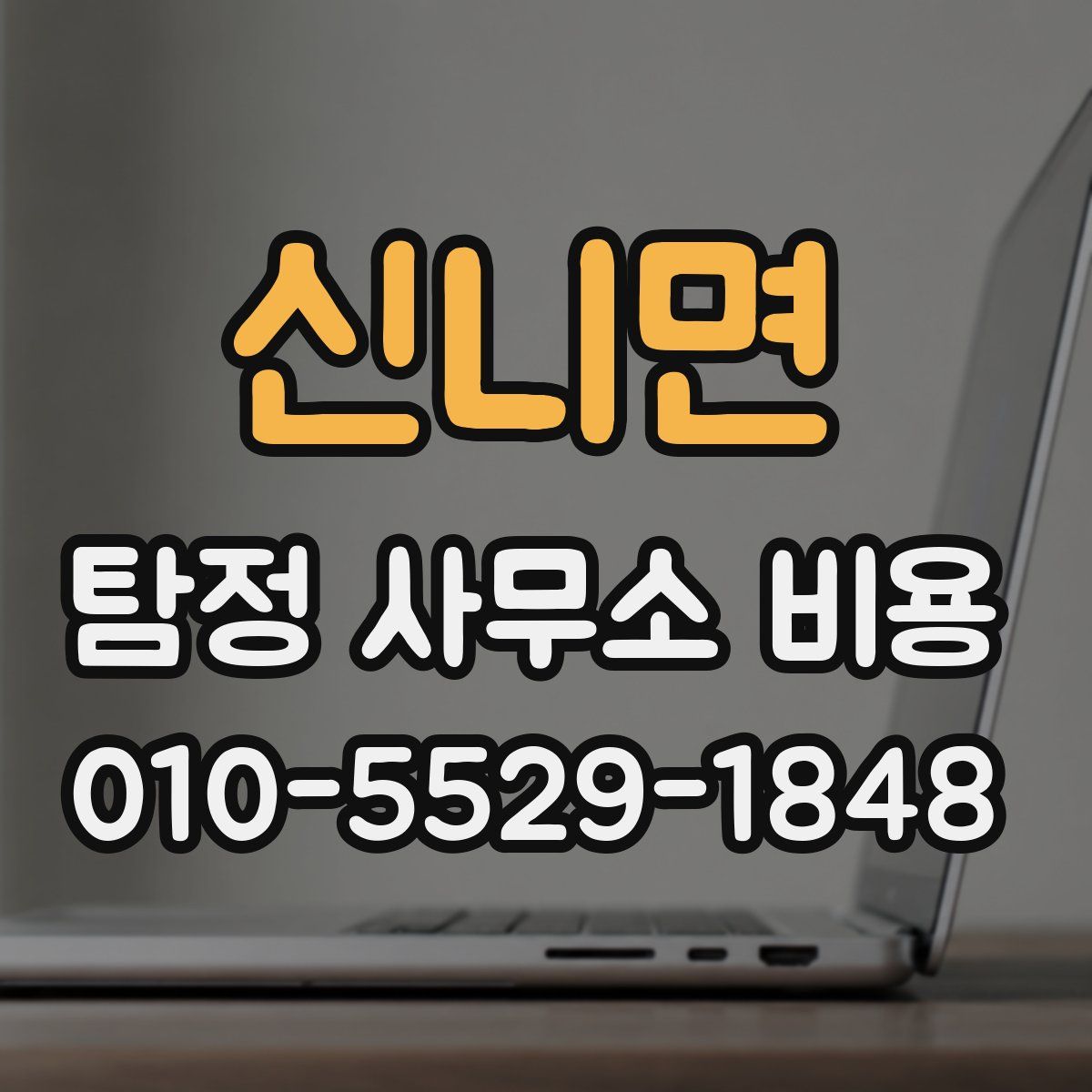 신니면 탐정 사무소 비용