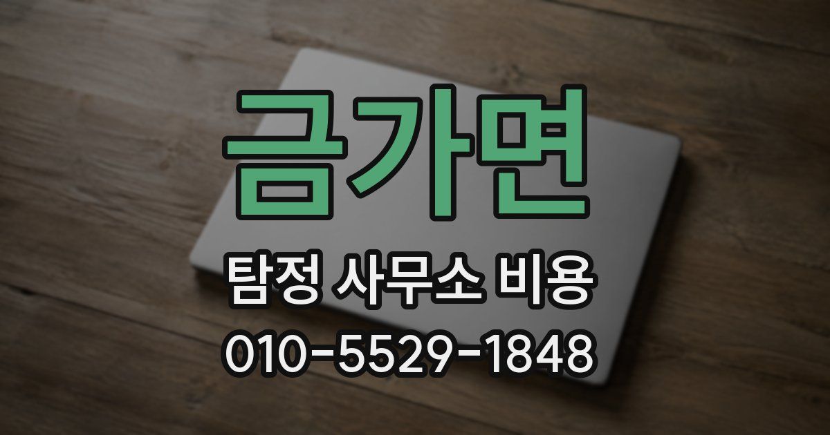 금가면 탐정 사무소 비용