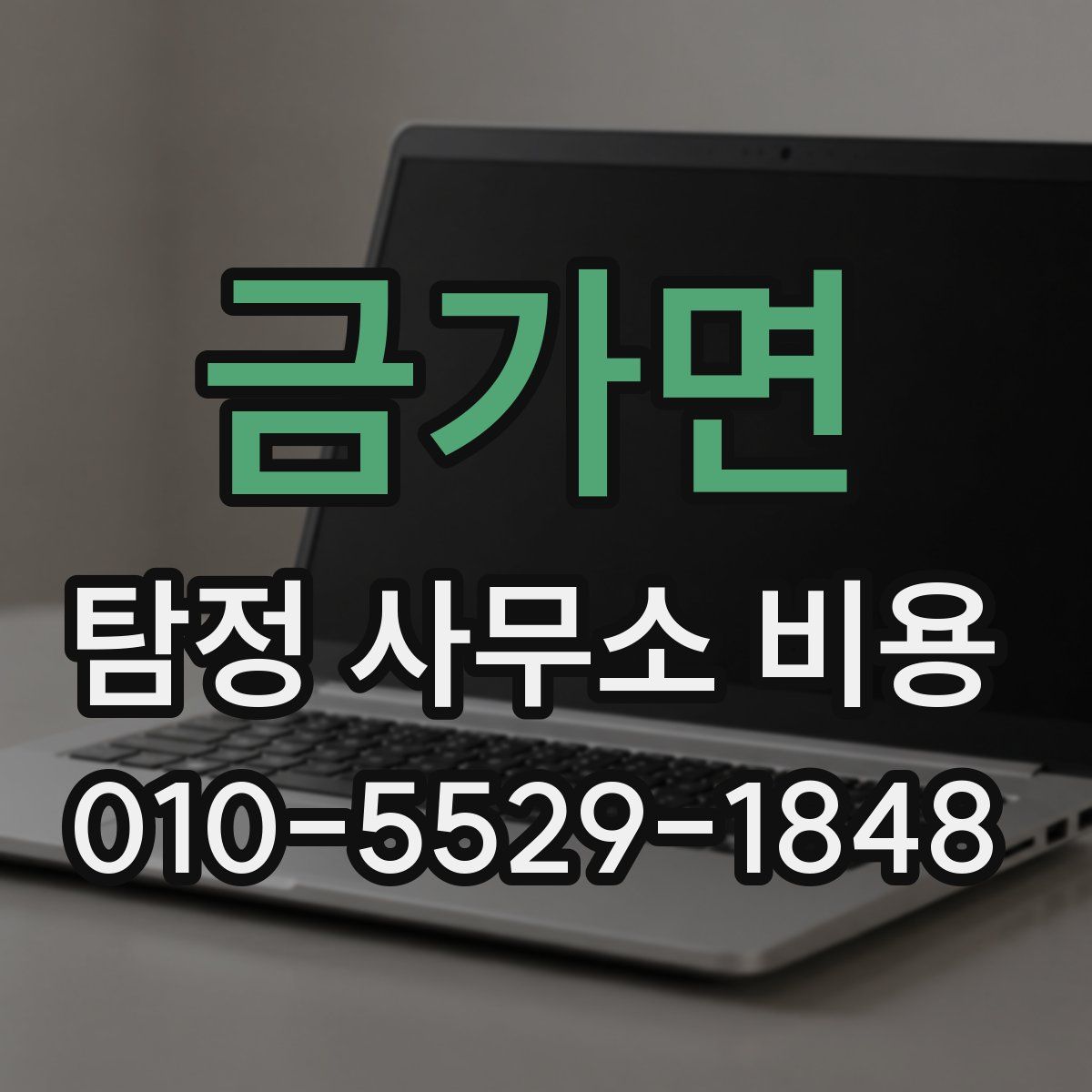 금가면 탐정 사무소 비용