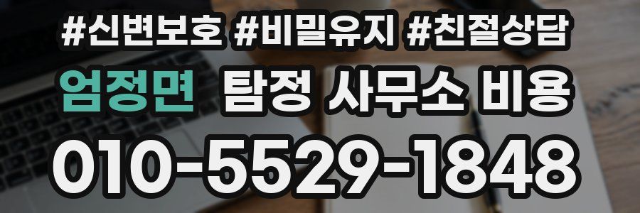 엄정면 탐정 사무소 비용