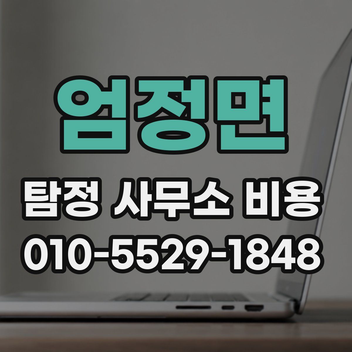 엄정면 탐정 사무소 비용