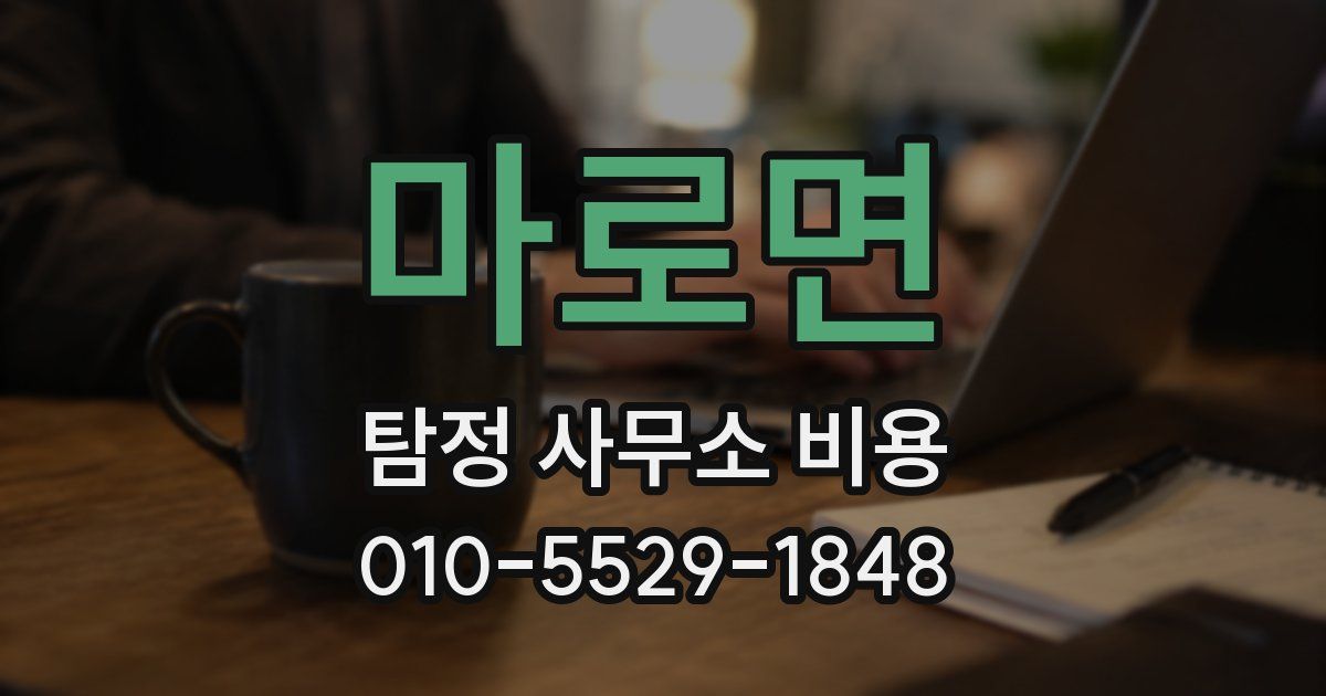마로면 탐정 사무소 비용