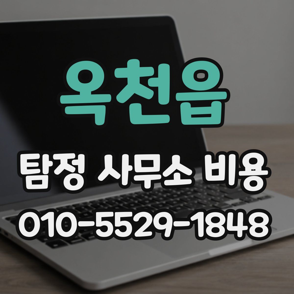 옥천읍 탐정 사무소 비용