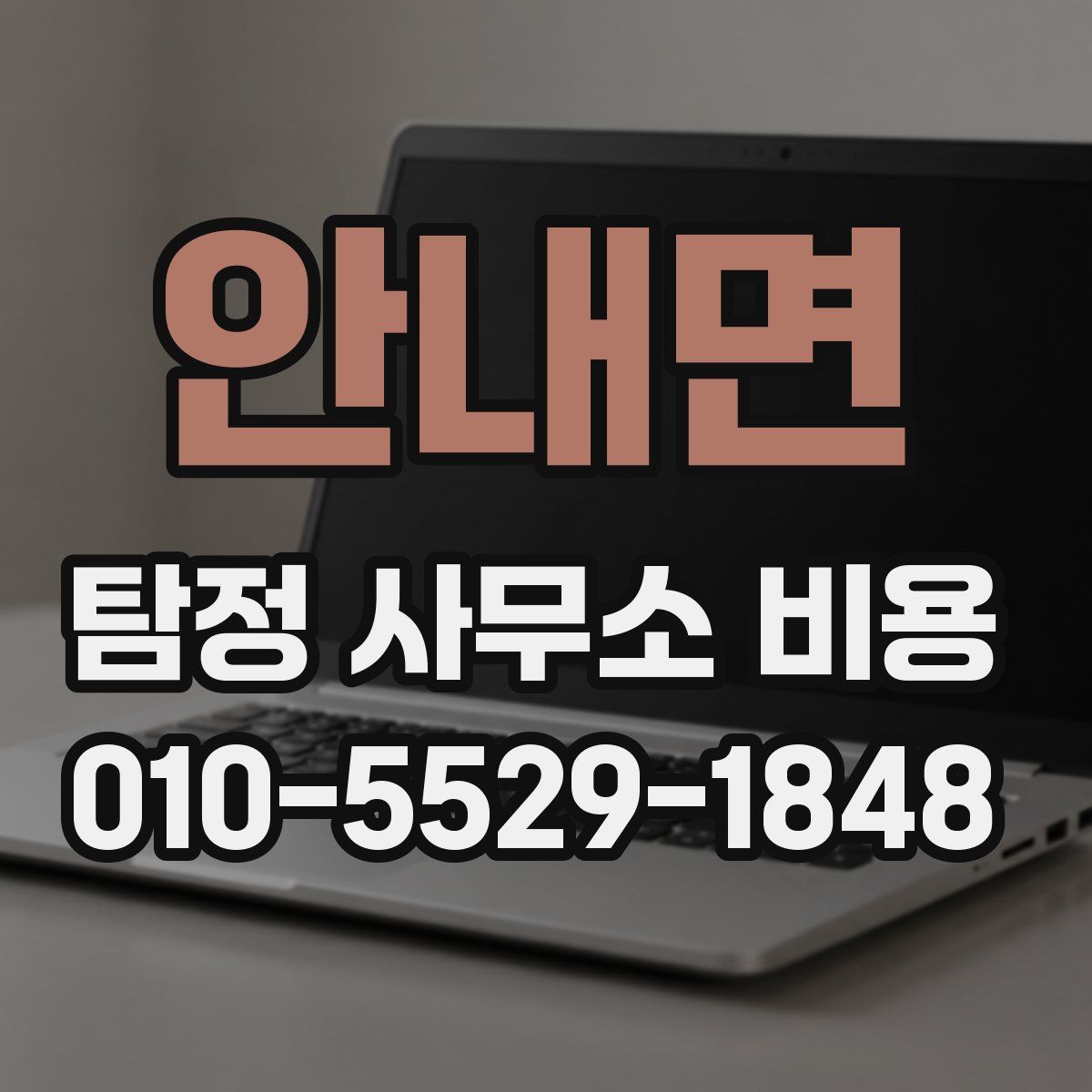 안내면 탐정 사무소 비용