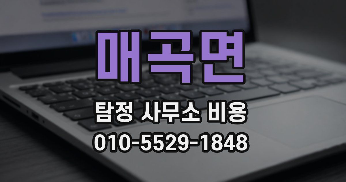 매곡면 탐정 사무소 비용