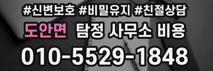 도안면 탐정 사무소 비용