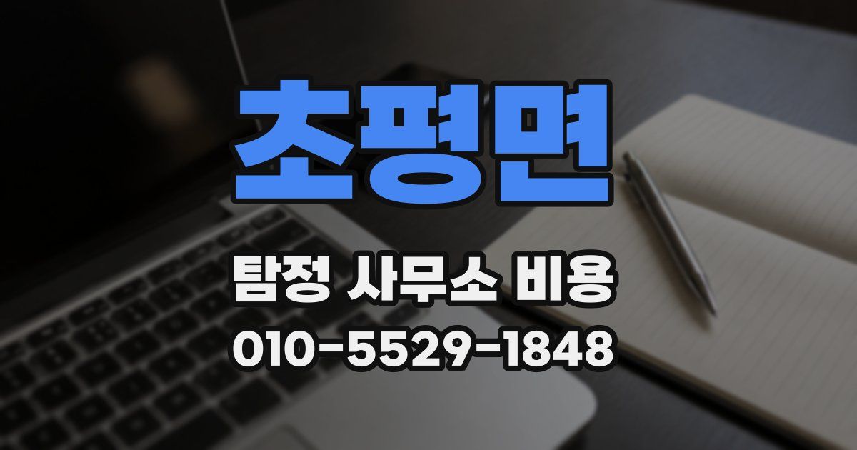 초평면 탐정 사무소 비용