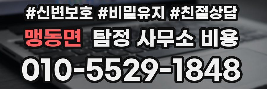 맹동면 탐정 사무소 비용