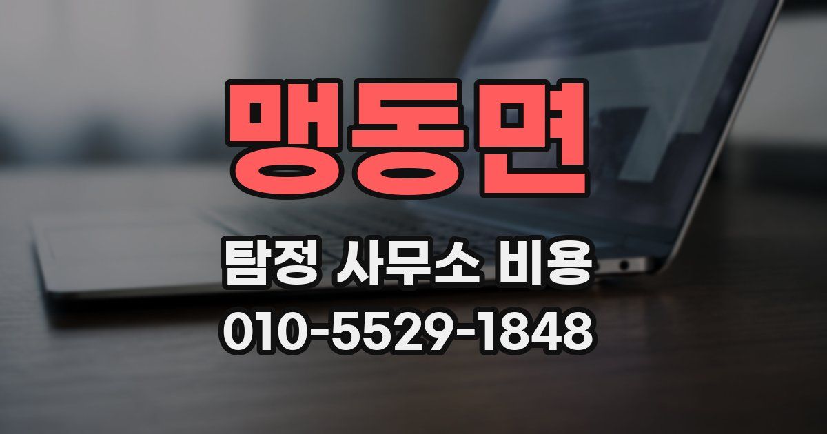 맹동면 탐정 사무소 비용