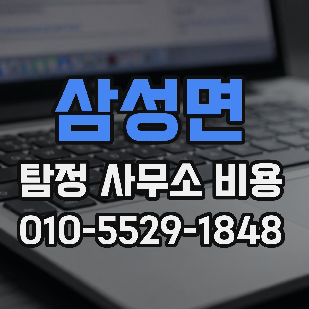 삼성면 탐정 사무소 비용