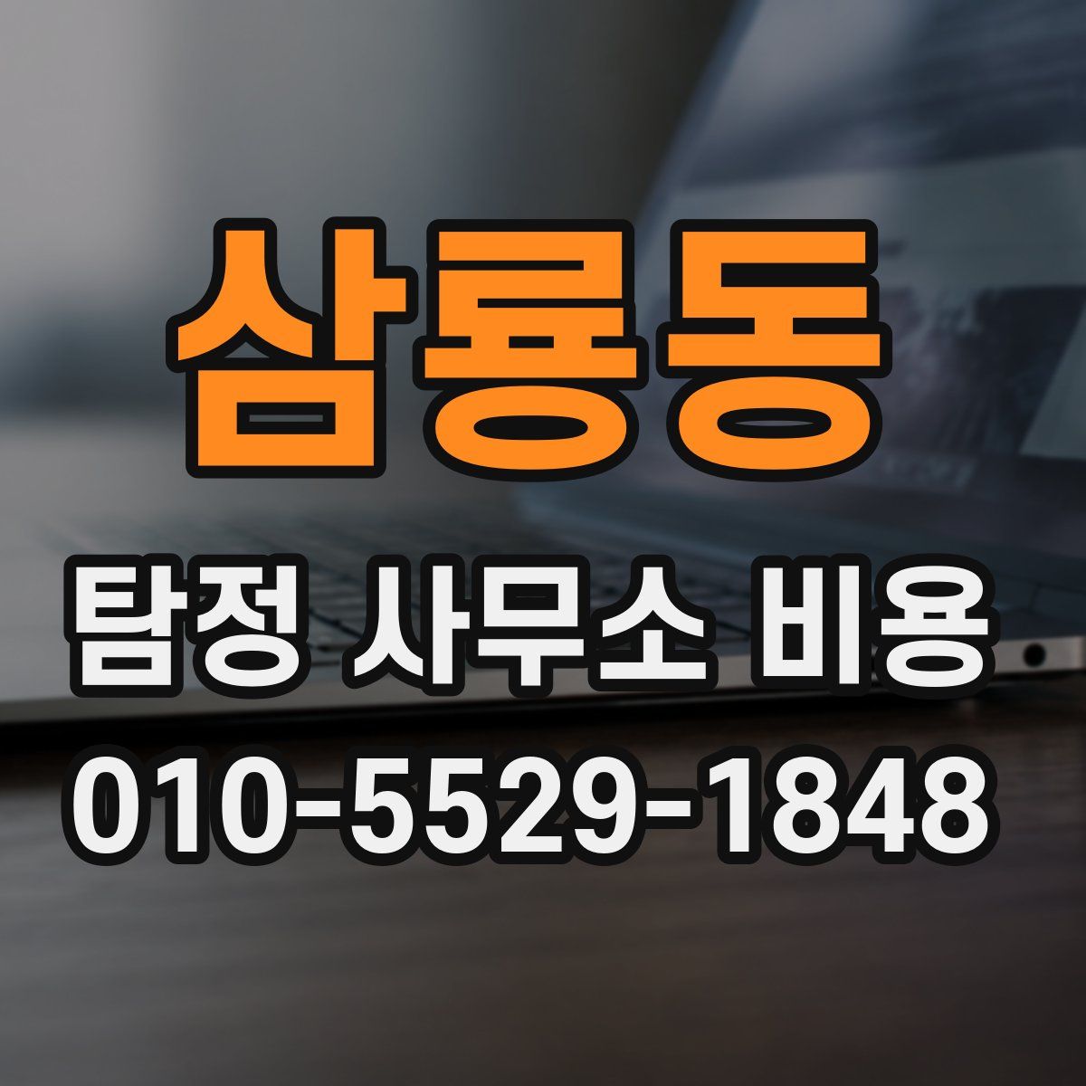 삼룡동 탐정 사무소 비용