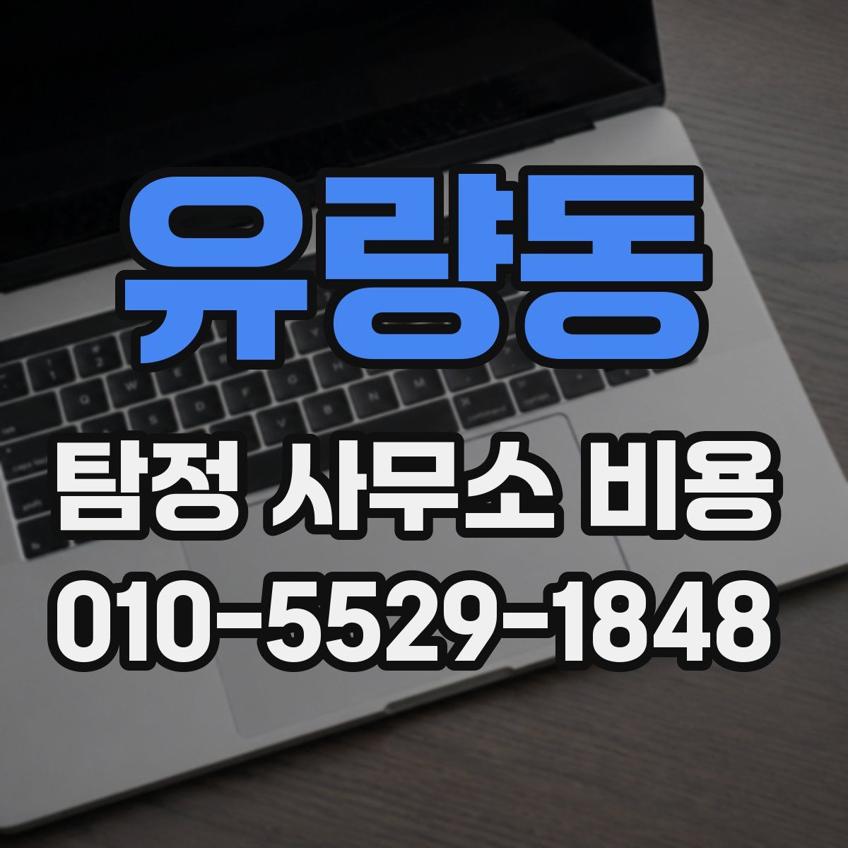 유량동 탐정 사무소 비용