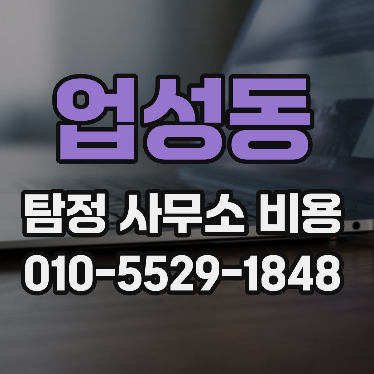 업성동 탐정 사무소 비용