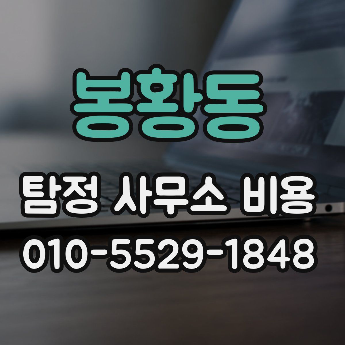 봉황동 탐정 사무소 비용