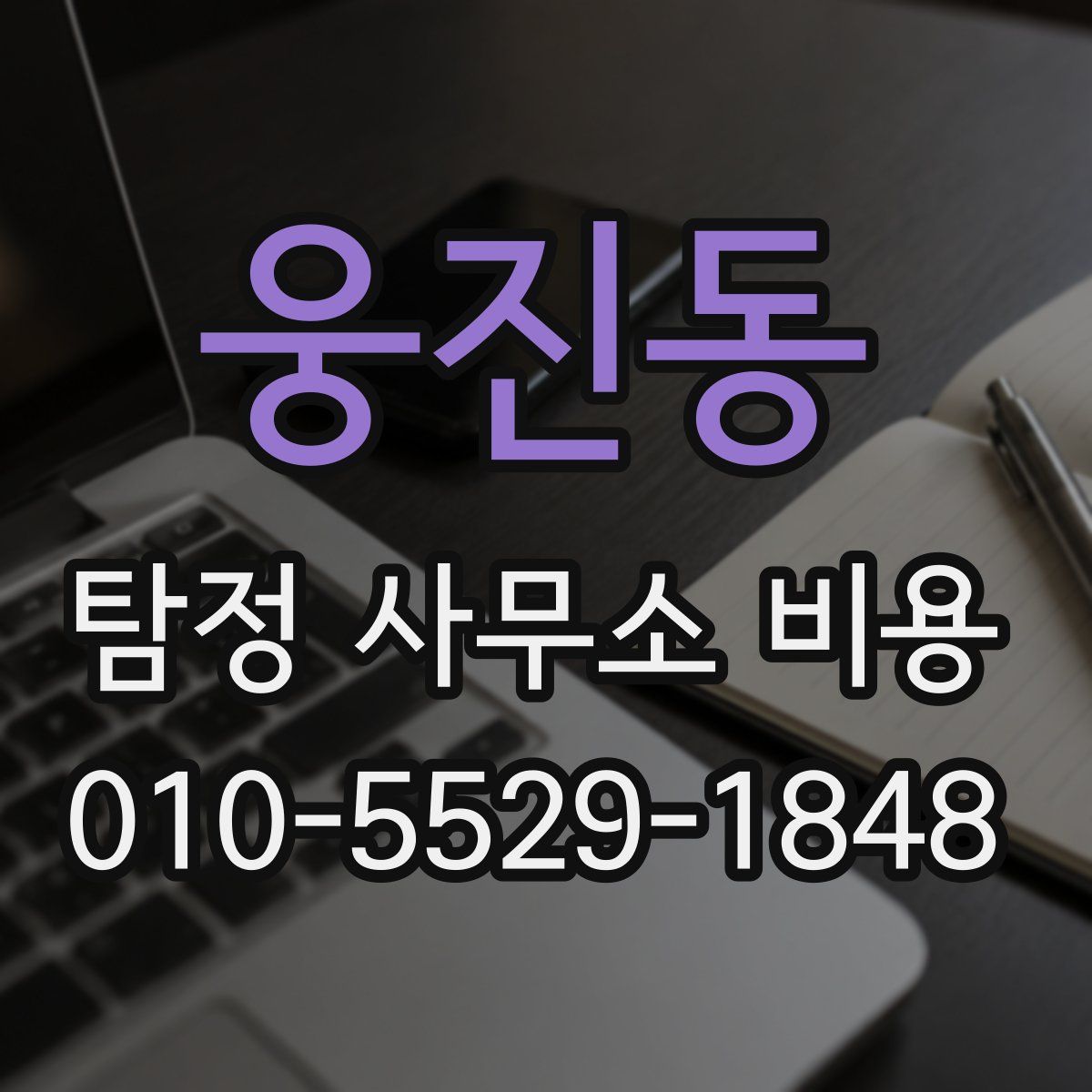 웅진동 탐정 사무소 비용