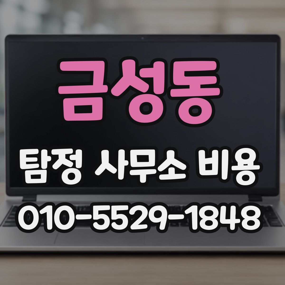 금성동 탐정 사무소 비용