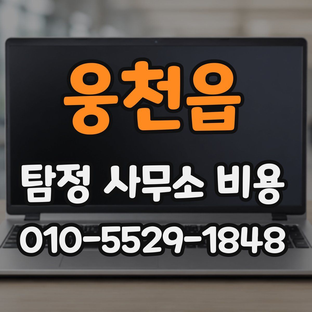 웅천읍 탐정 사무소 비용