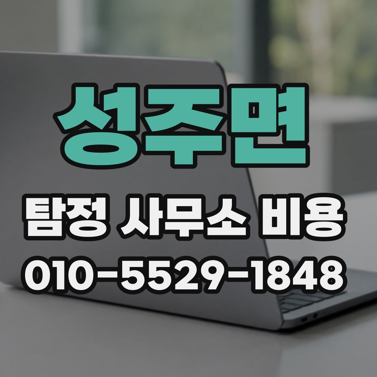 성주면 탐정 사무소 비용