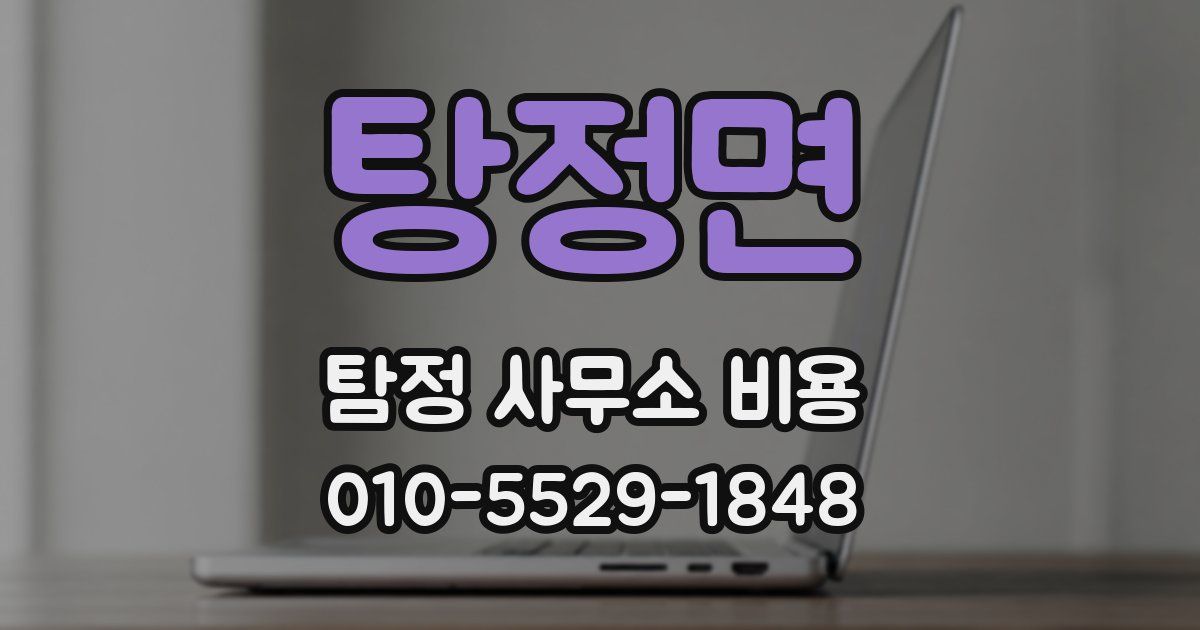 탕정면 탐정 사무소 비용