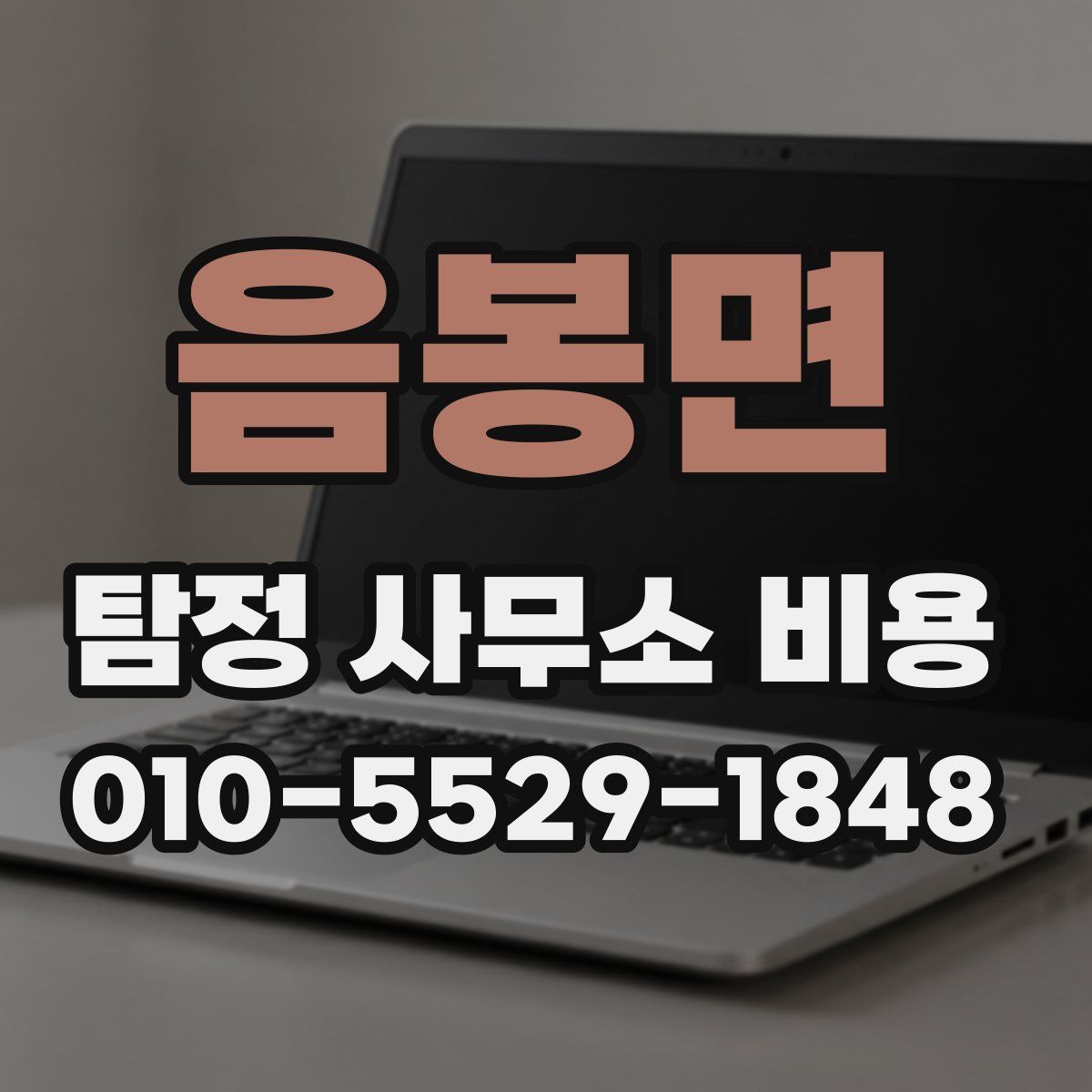 음봉면 탐정 사무소 비용