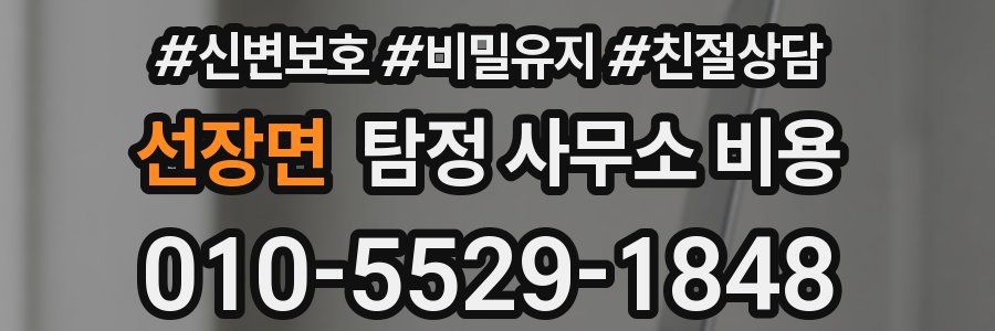 선장면 탐정 사무소 비용