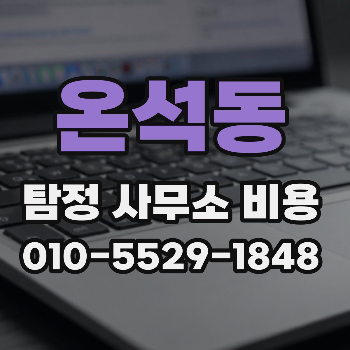 온석동 탐정 사무소 비용