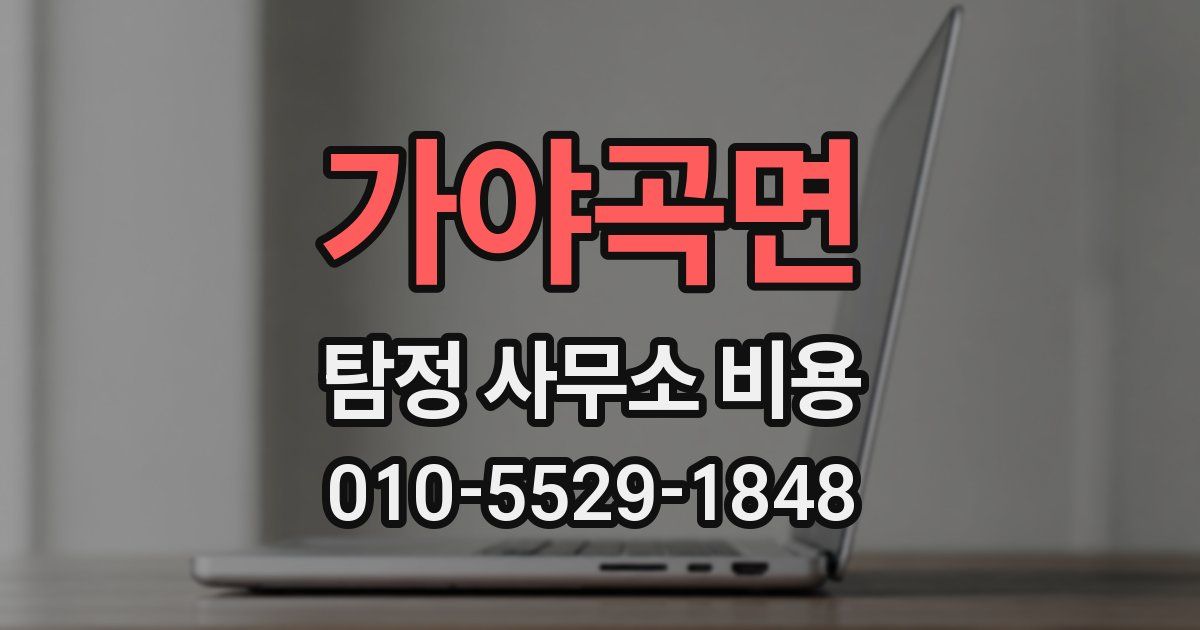 가야곡면 탐정 사무소 비용