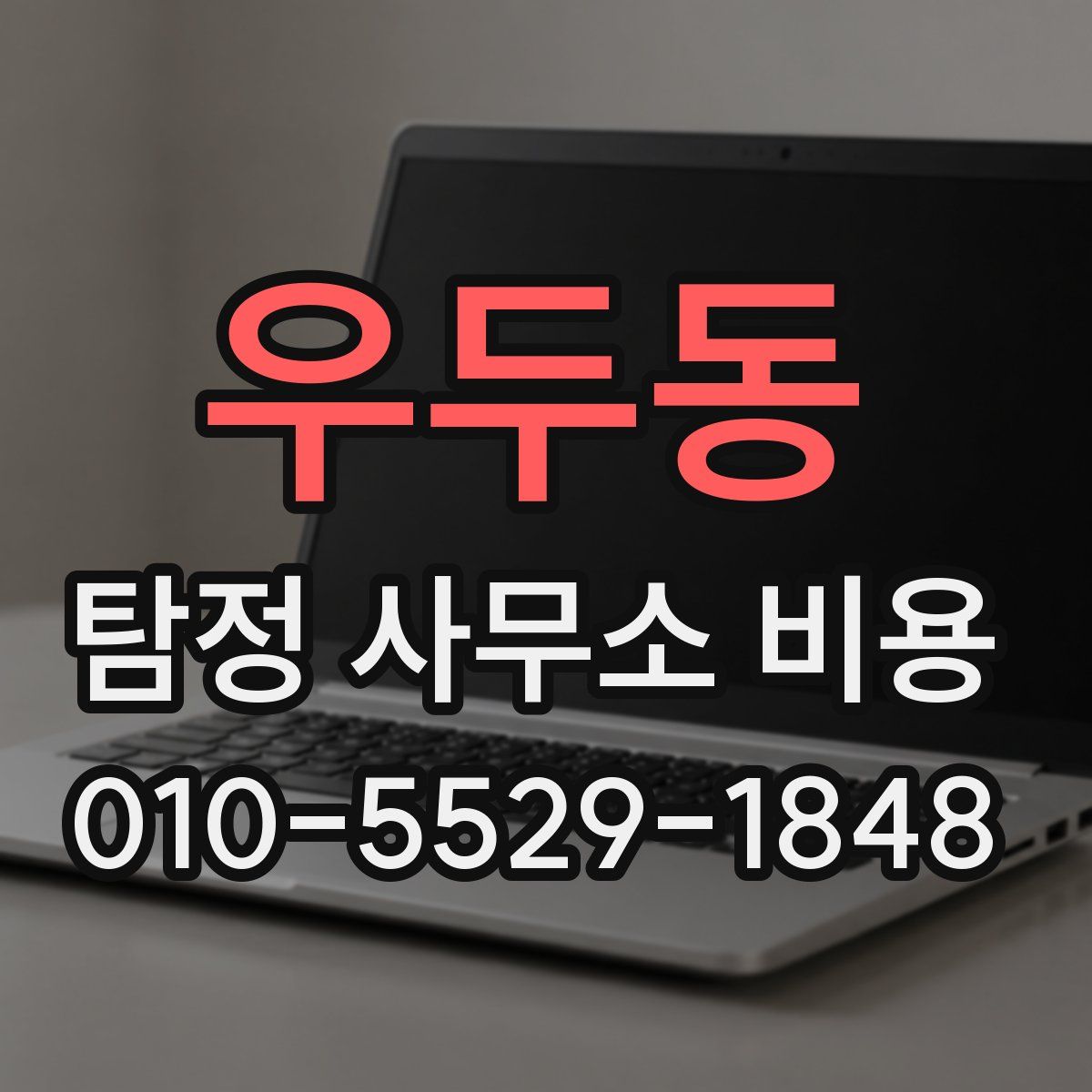 우두동 탐정 사무소 비용