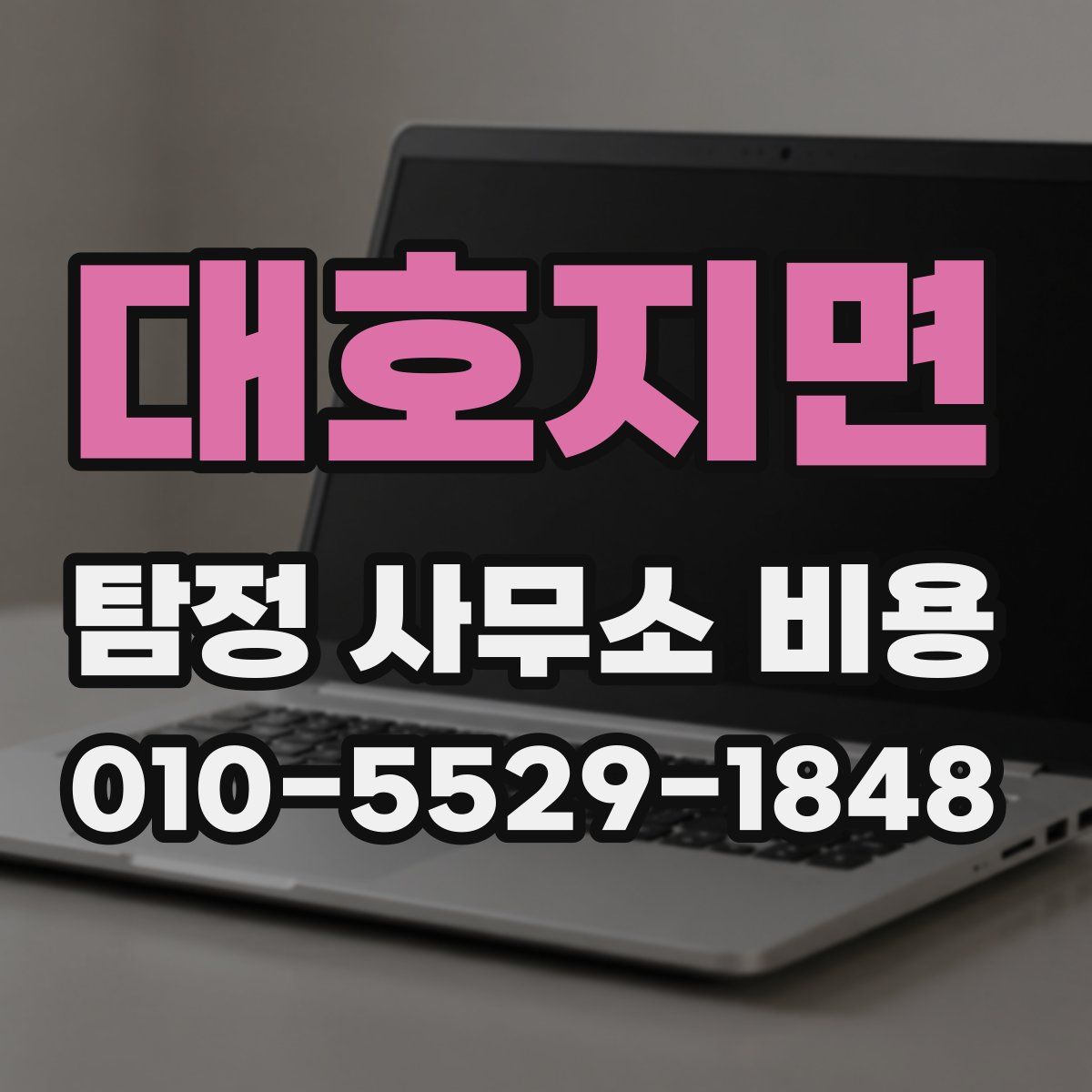 대호지면 탐정 사무소 비용