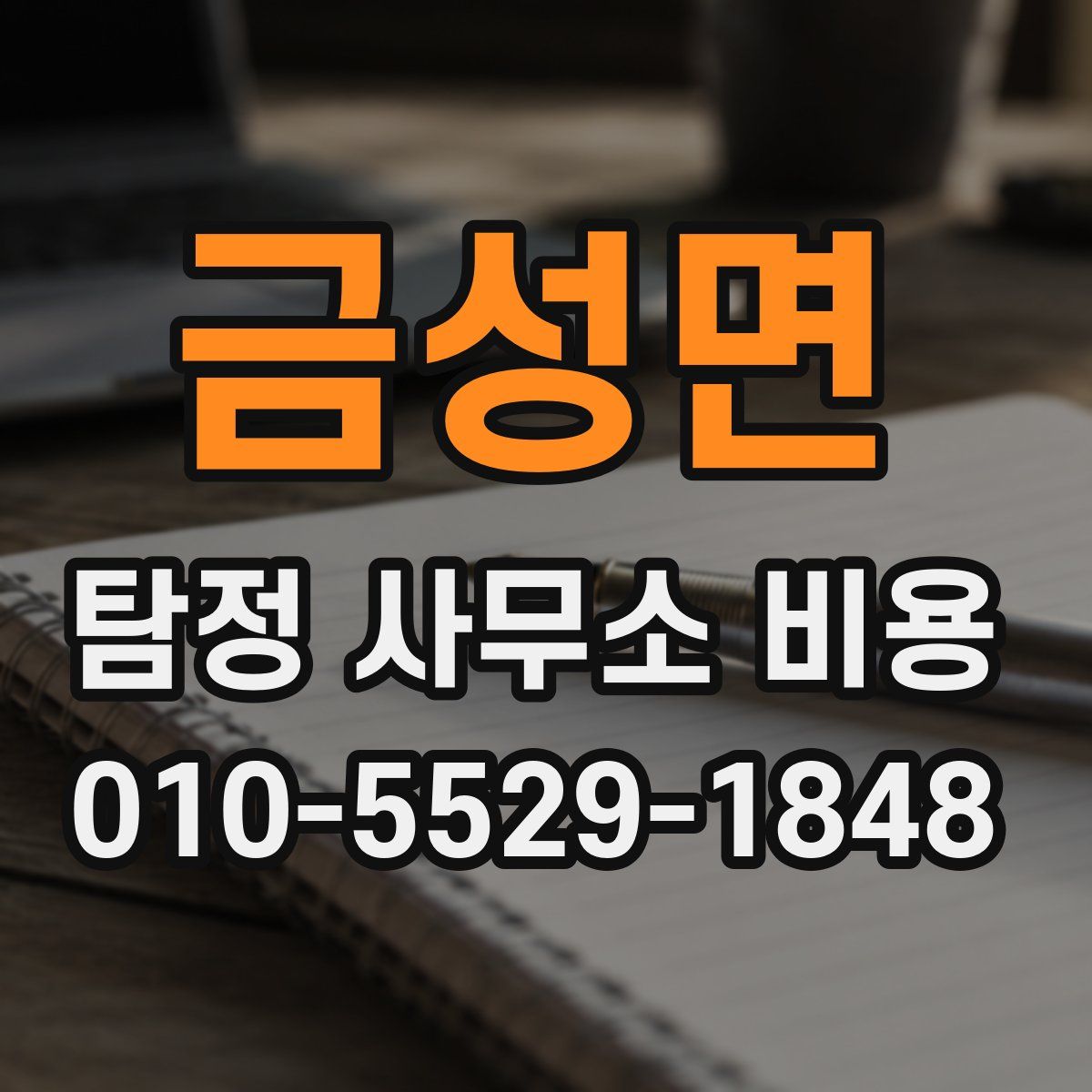 금성면 탐정 사무소 비용