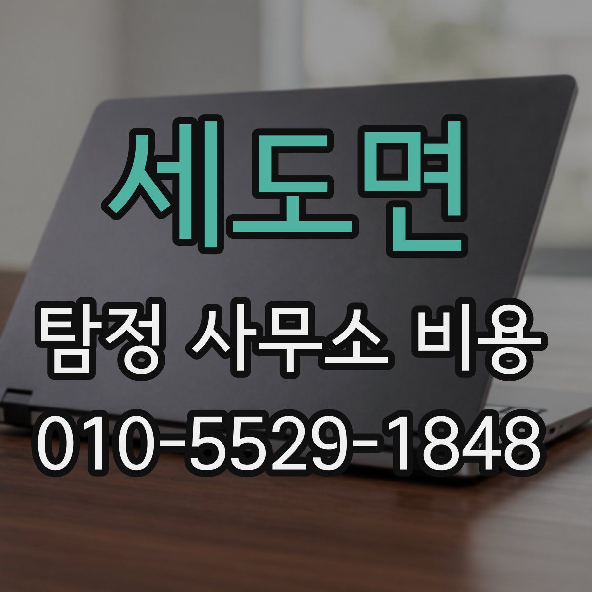 세도면 탐정 사무소 비용