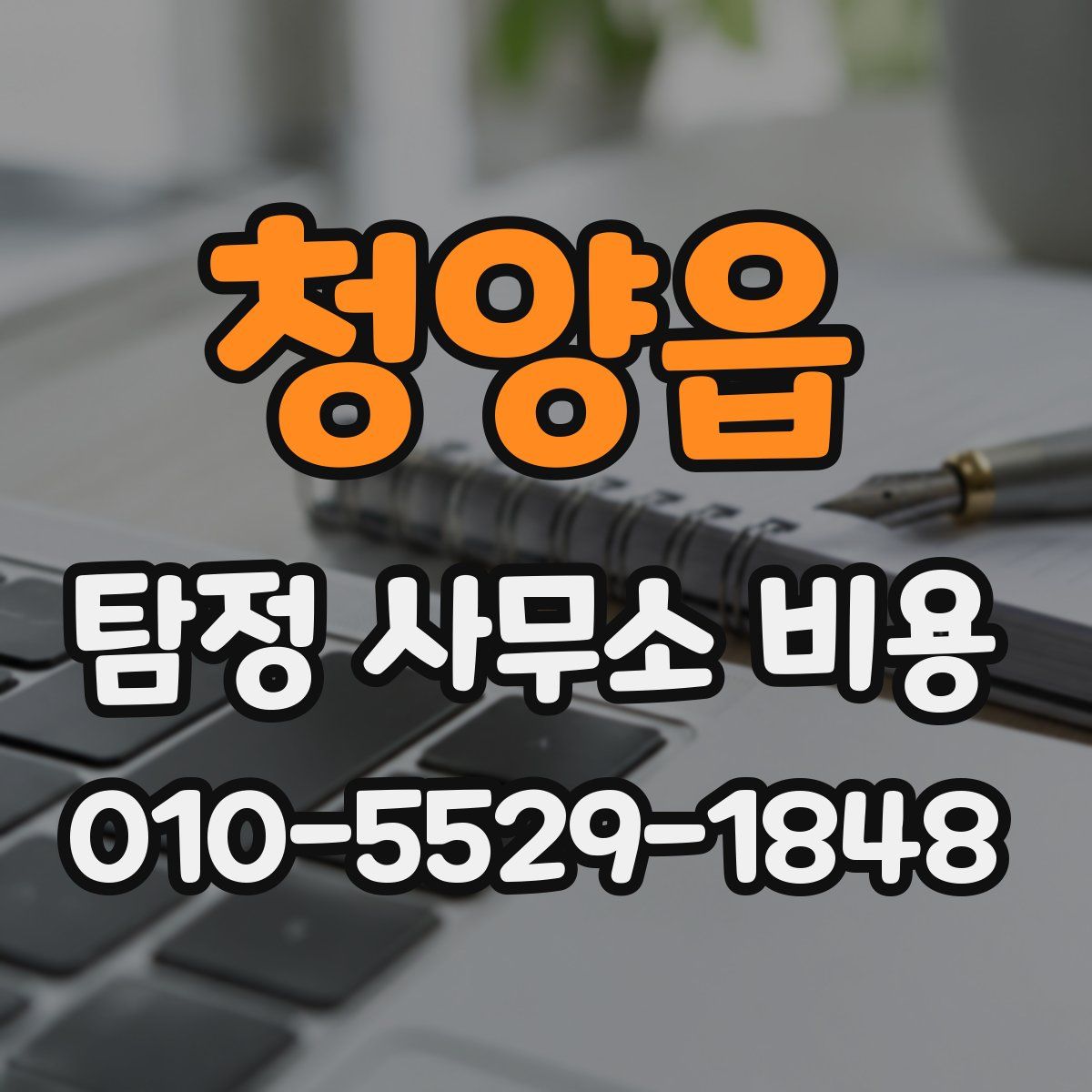 청양읍 탐정 사무소 비용