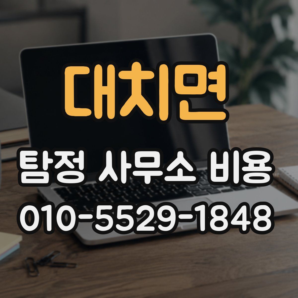 대치면 탐정 사무소 비용