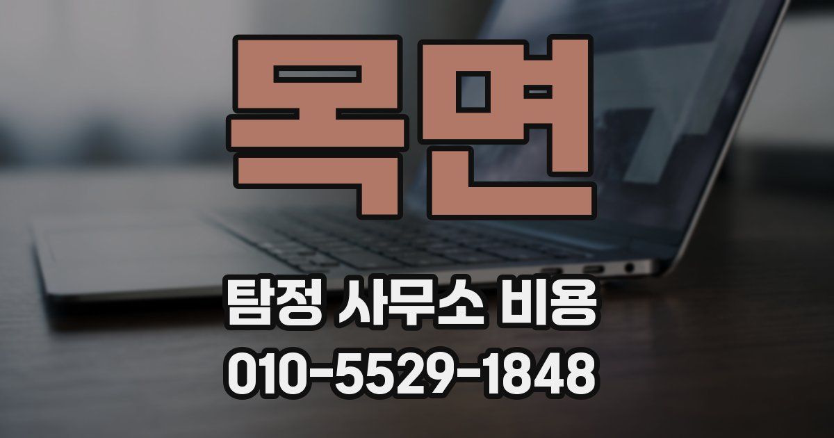 목면 탐정 사무소 비용