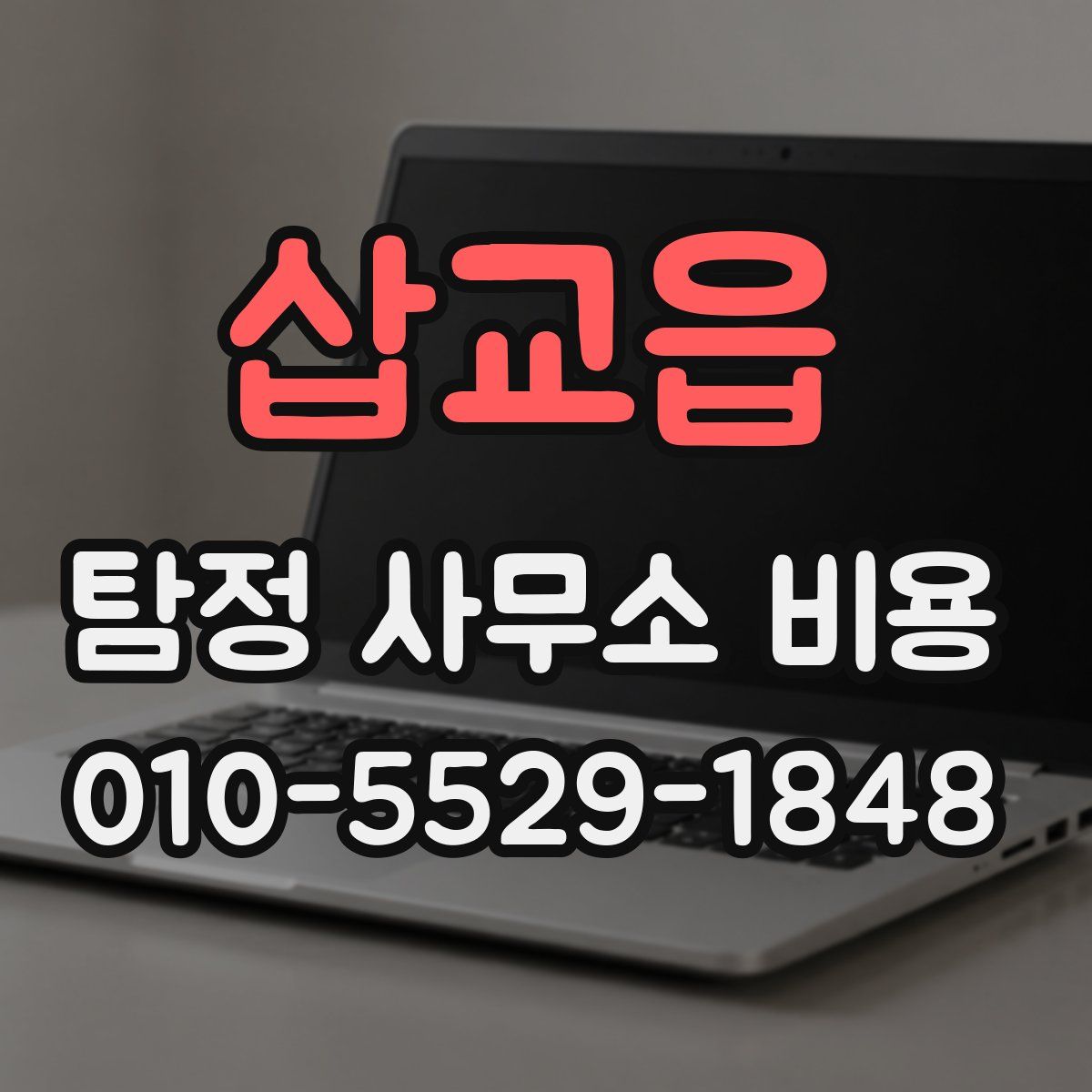 삽교읍 탐정 사무소 비용