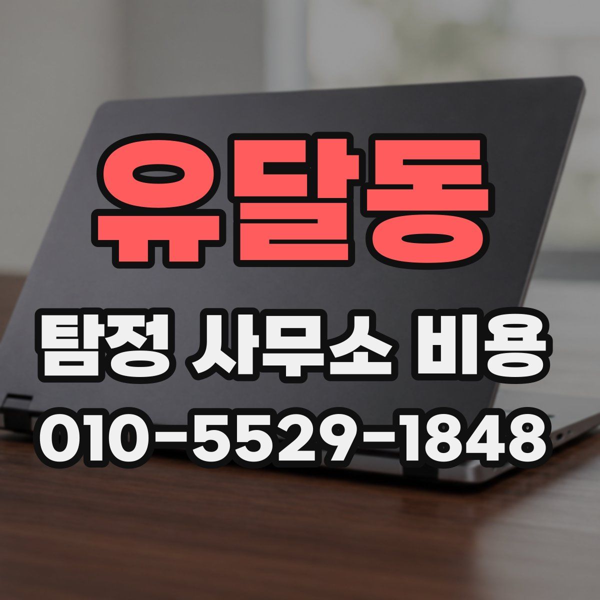 유달동 탐정 사무소 비용