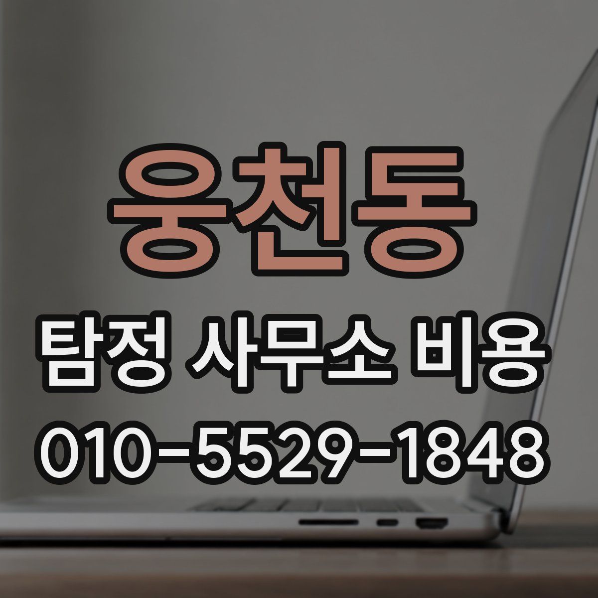 웅천동 탐정 사무소 비용