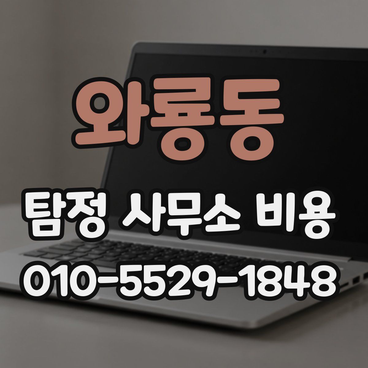 와룡동 탐정 사무소 비용
