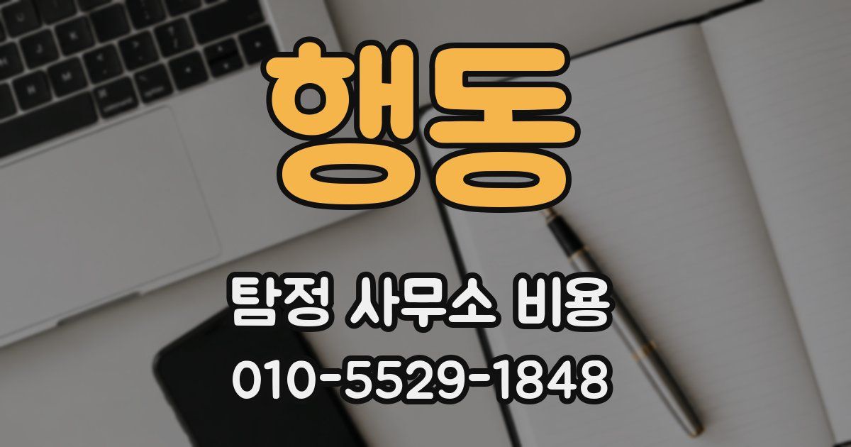 행동 탐정 사무소 비용
