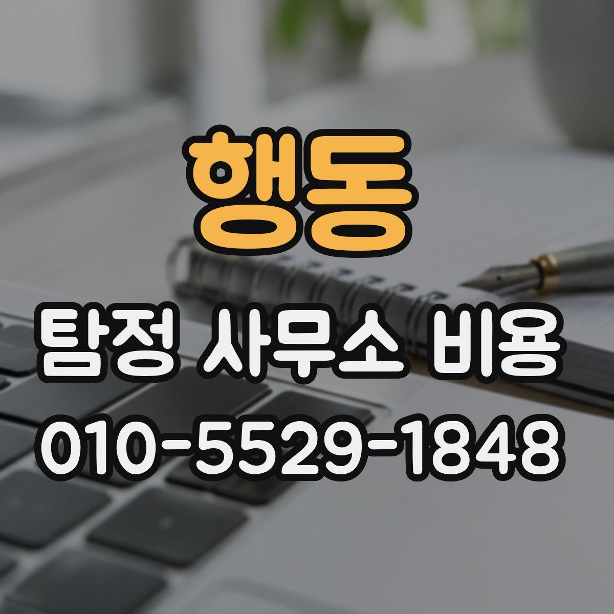 행동 탐정 사무소 비용