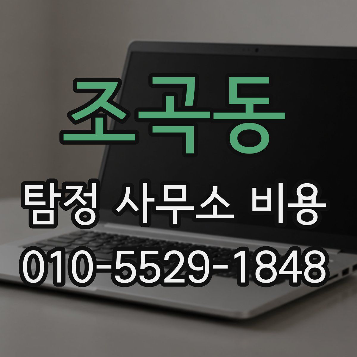 조곡동 탐정 사무소 비용