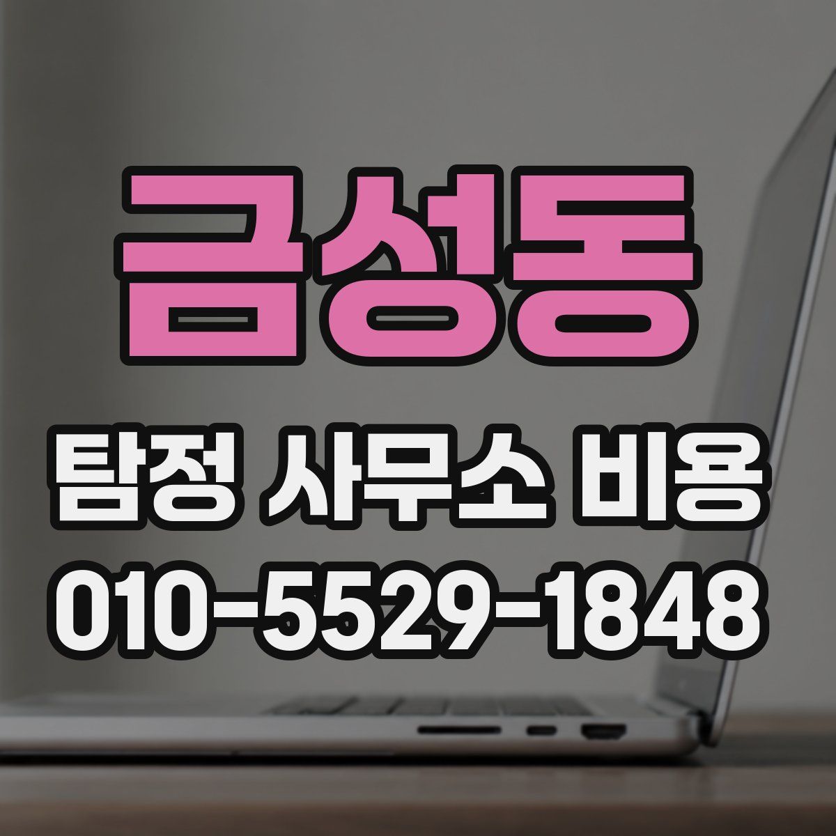 금성동 탐정 사무소 비용
