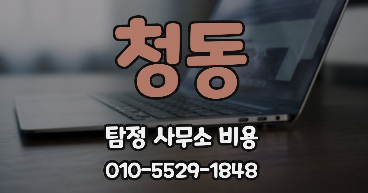 청동 탐정 사무소 비용