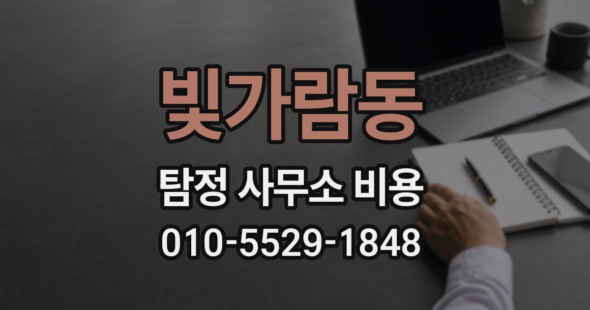빛가람동 탐정 사무소 비용