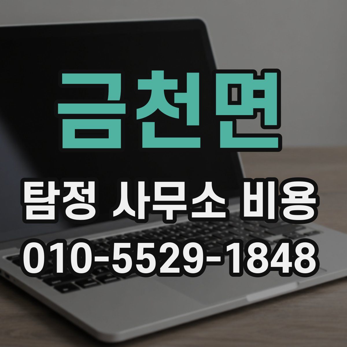 금천면 탐정 사무소 비용