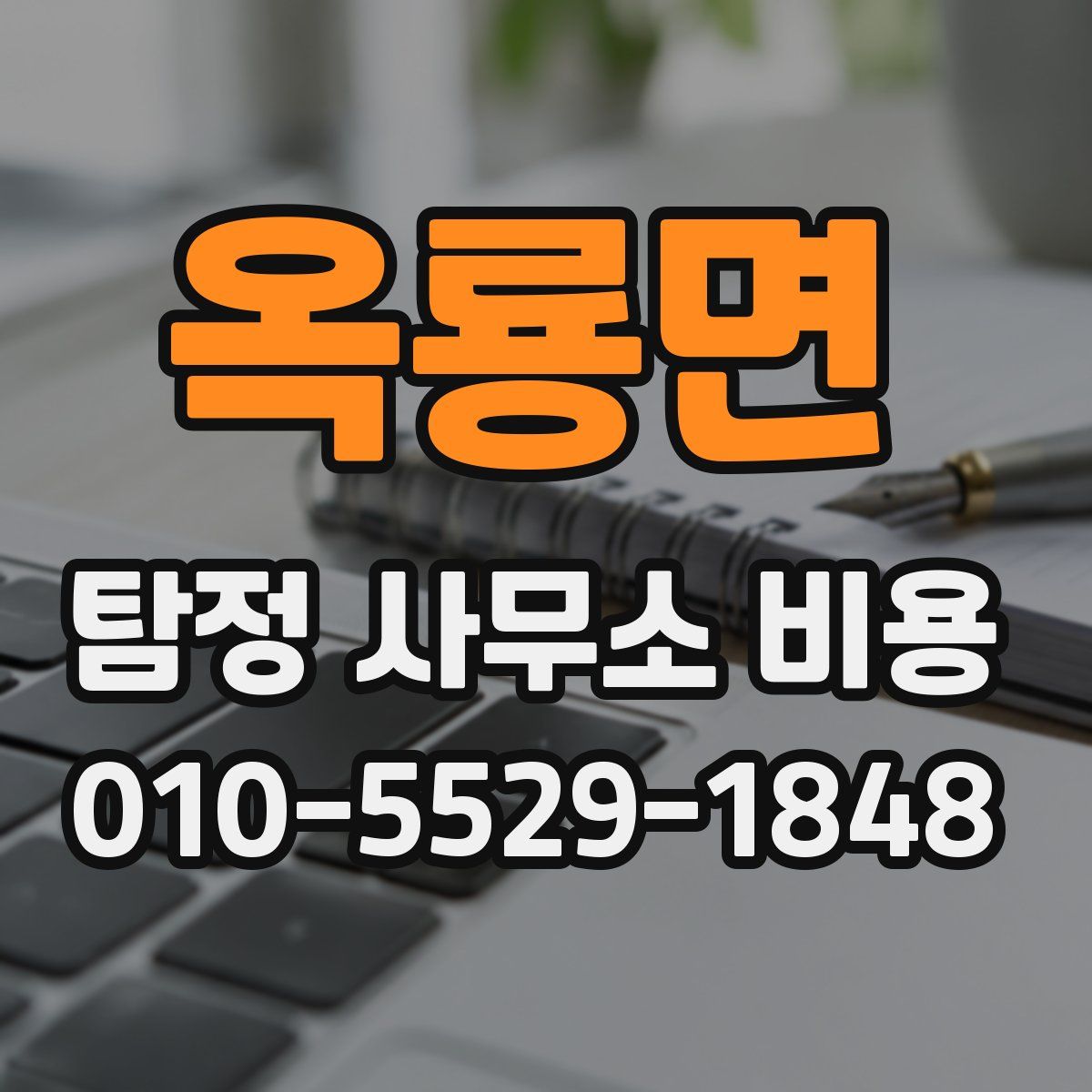 옥룡면 탐정 사무소 비용