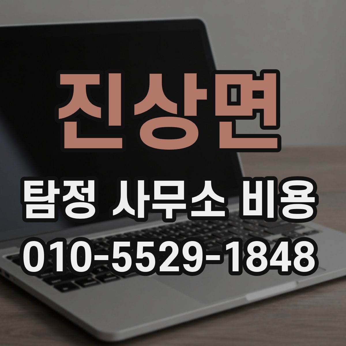 진상면 탐정 사무소 비용
