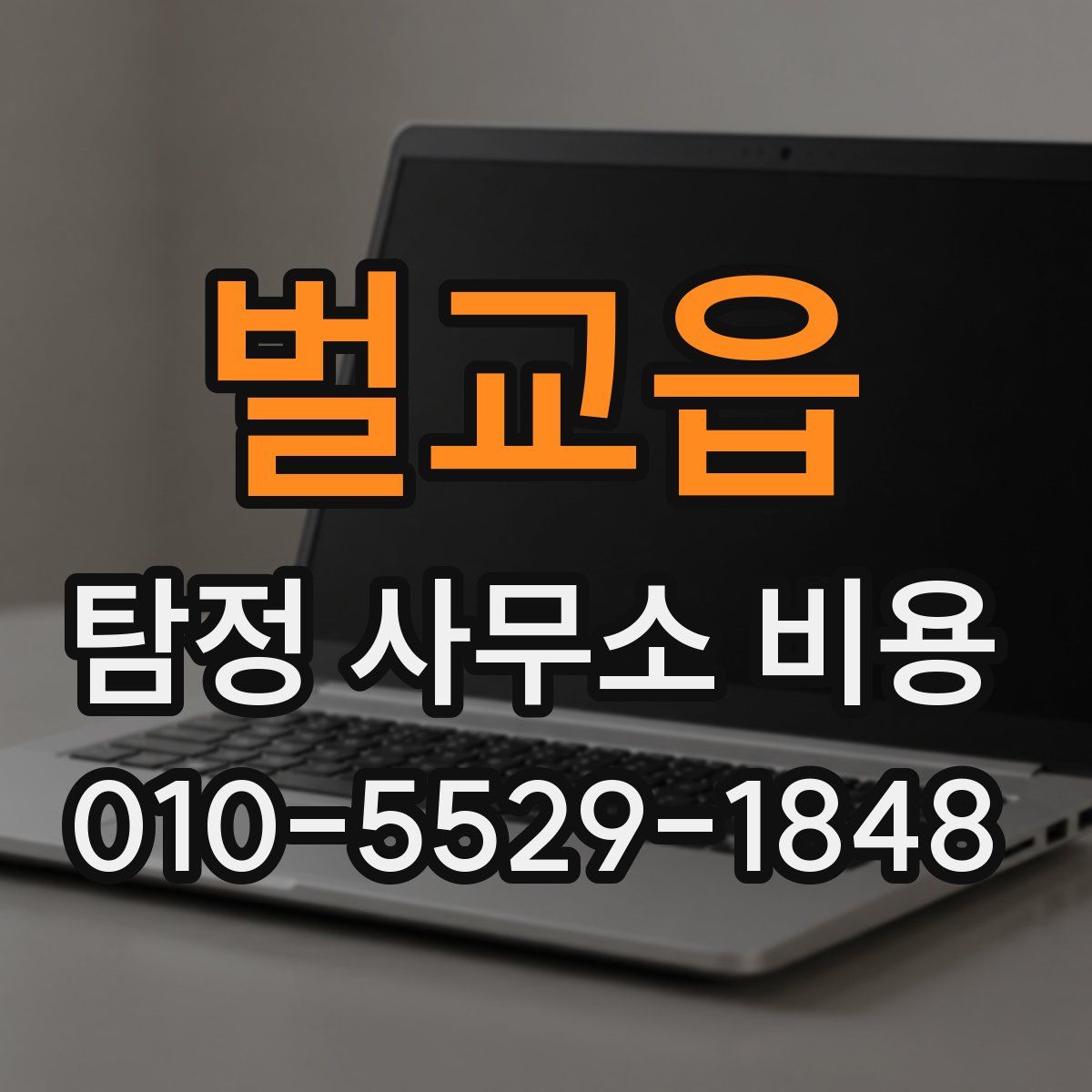 벌교읍 탐정 사무소 비용