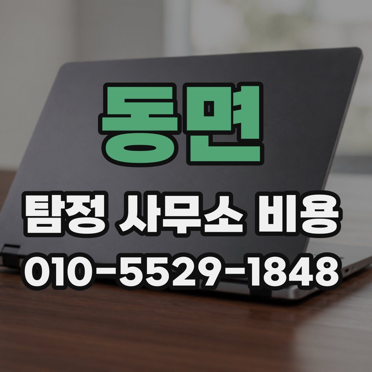 동면 탐정 사무소 비용